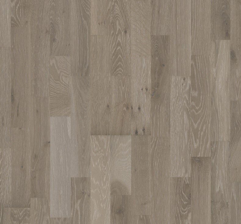 Oak Alloy - Harmony Collection | Wood Floors