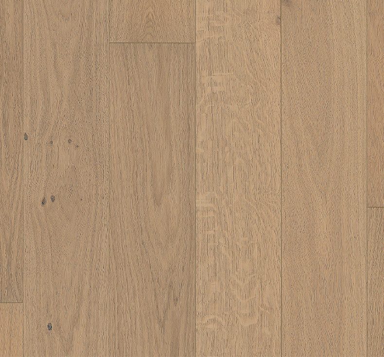 Oak Nouveau White - Wood Floors