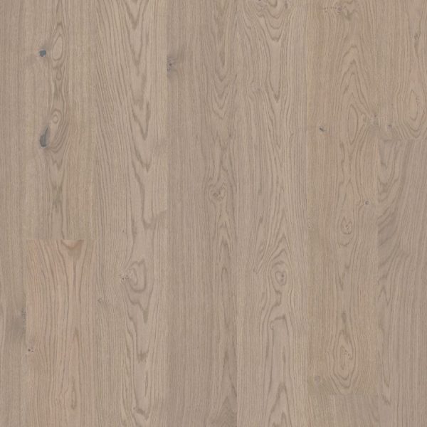 Oak Shore - Wood Floors