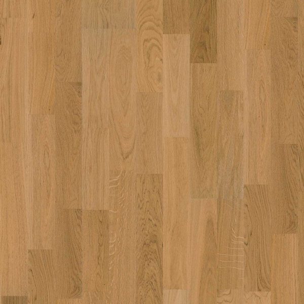 Oak Verona - Wood Floors