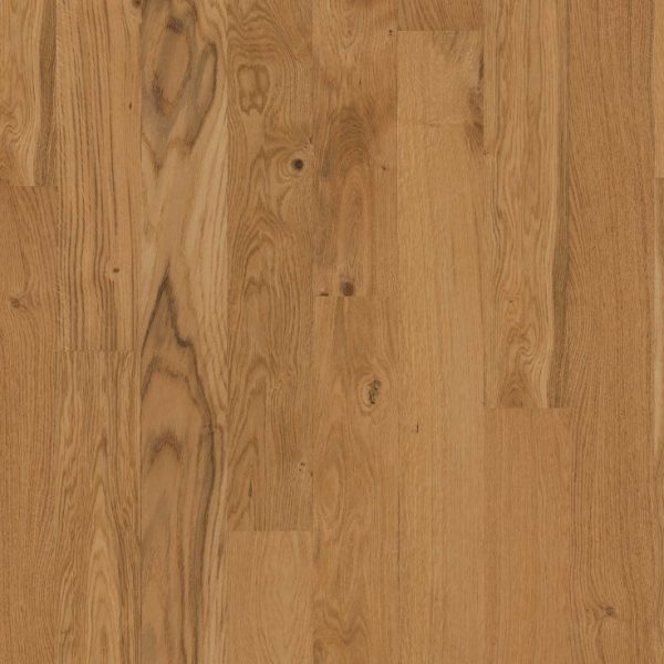 Oak Park - Wood Floors