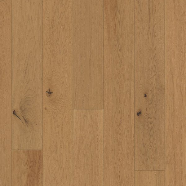 Oak Biscotti - Wood Floors