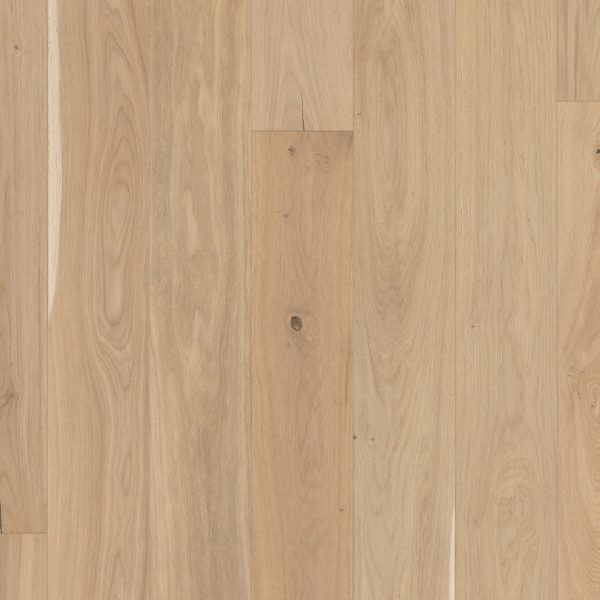 Oak Eggshell - Wood Floors
